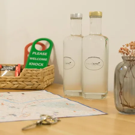 Lilla - Musei Vaticani 招待所 4*